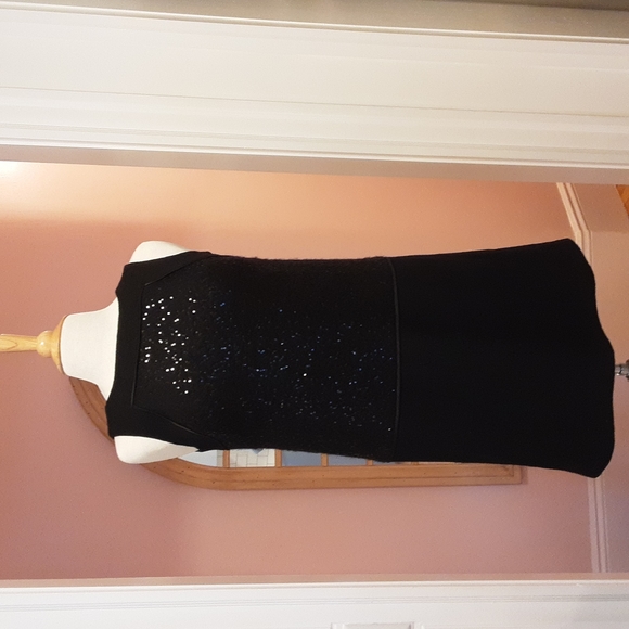 NWT🌟HP🌟 Loft Sequin Dress - Picture 5 of 11